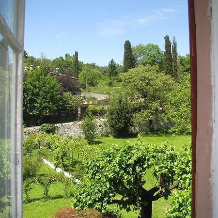 Sassi فيلة