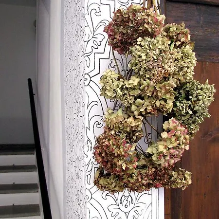 فيلة Sassi